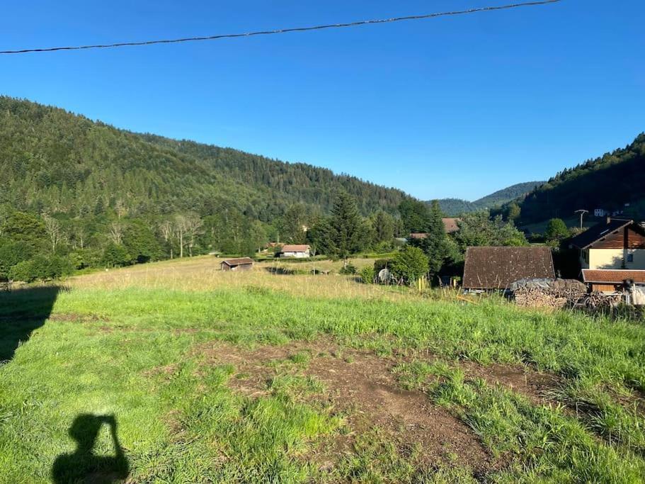 Appartement 5 Personnes Avec Espace Plein Air サン・モーリス・シュル・モセル エクステリア 写真