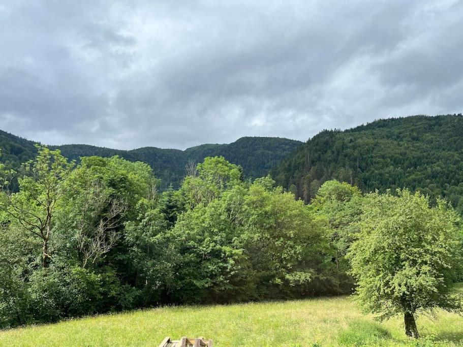 Appartement 5 Personnes Avec Espace Plein Air サン・モーリス・シュル・モセル エクステリア 写真